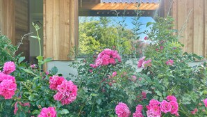 A wooden house with a garden full of pink roses and a large window.
