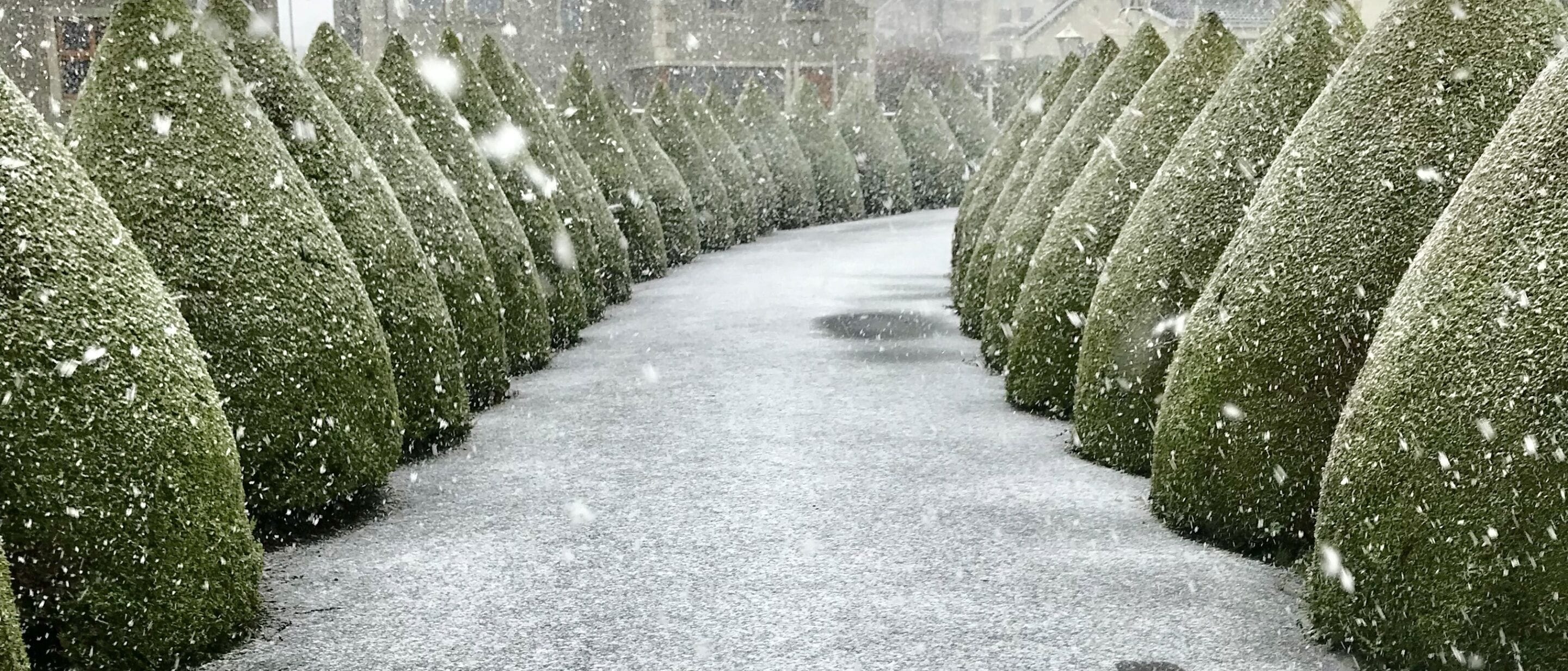 الإطلالة من المنشأة