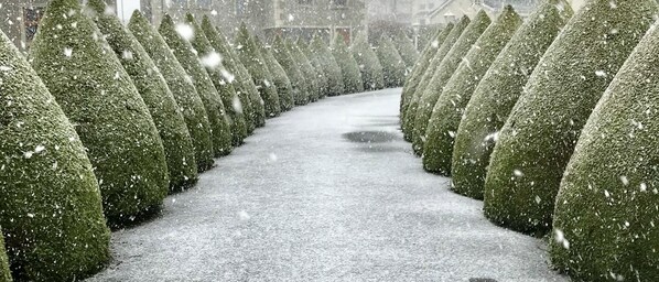 Quang cảnh nhìn từ nơi lưu trú