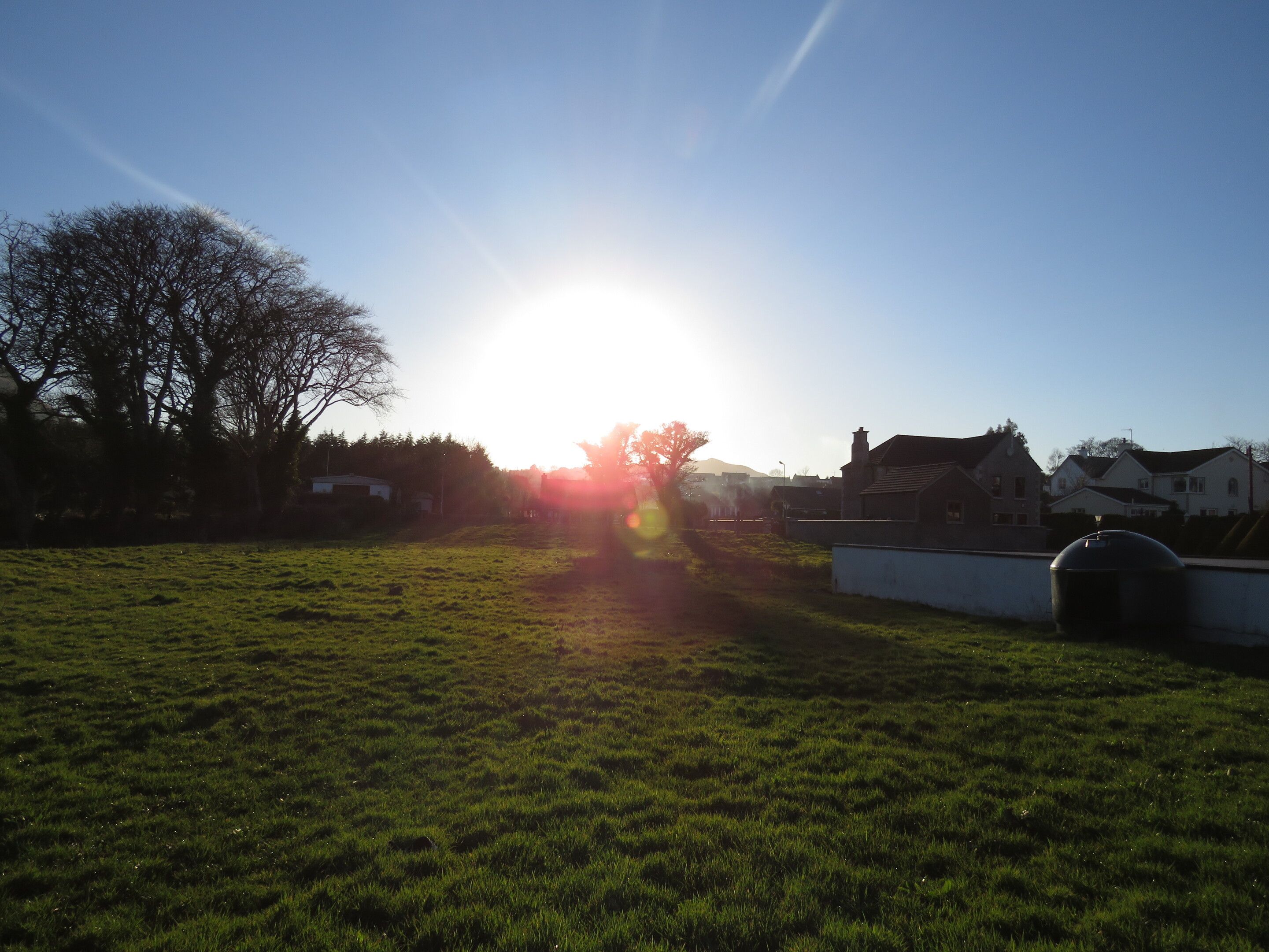 Ein grünes Feld mit blauem Himmel und strahlender Sonne. Im Hintergrund sind Häuser zu sehen.