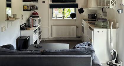 Stubbhuggets Lillstuga, a calm and quiet place with only forest and host near by