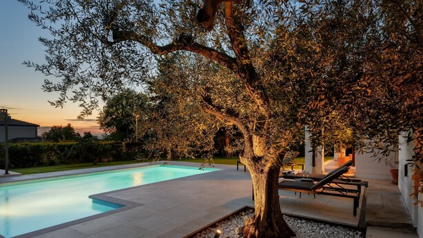 A swimming pool surrounded by a landscaped garden with a large tree and a bench.