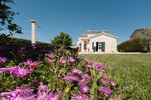 Áreas de la propiedad