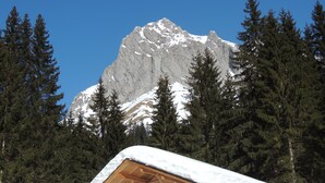 A wooden cabin with a snow-covered roof, surrounded by evergreen trees and a snow-capped mountain in the background. - Le Cairne Residence (La Chapelle-d'Abondance)