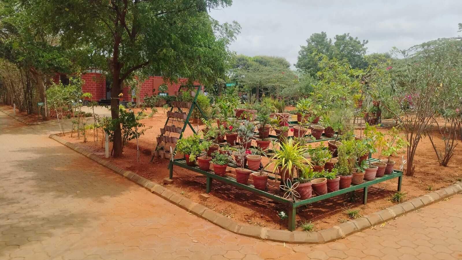 A garden area with potted plants arranged on a green bench.