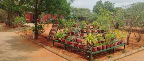 A garden area with potted plants arranged on a green bench.