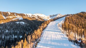A snow-covered road flanked by dense forests and mountains under clear skies.