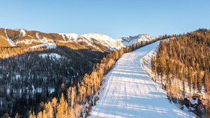 A snow-covered road flanked by dense forests and mountains under clear skies. - Modern Luxury - Mountain Village Chalet - Ski-In/Walk-Out - Sauna - Hot Tub (Mountain Village)