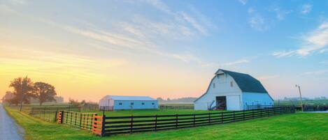 المنطقة المحيطة بالمنشأة