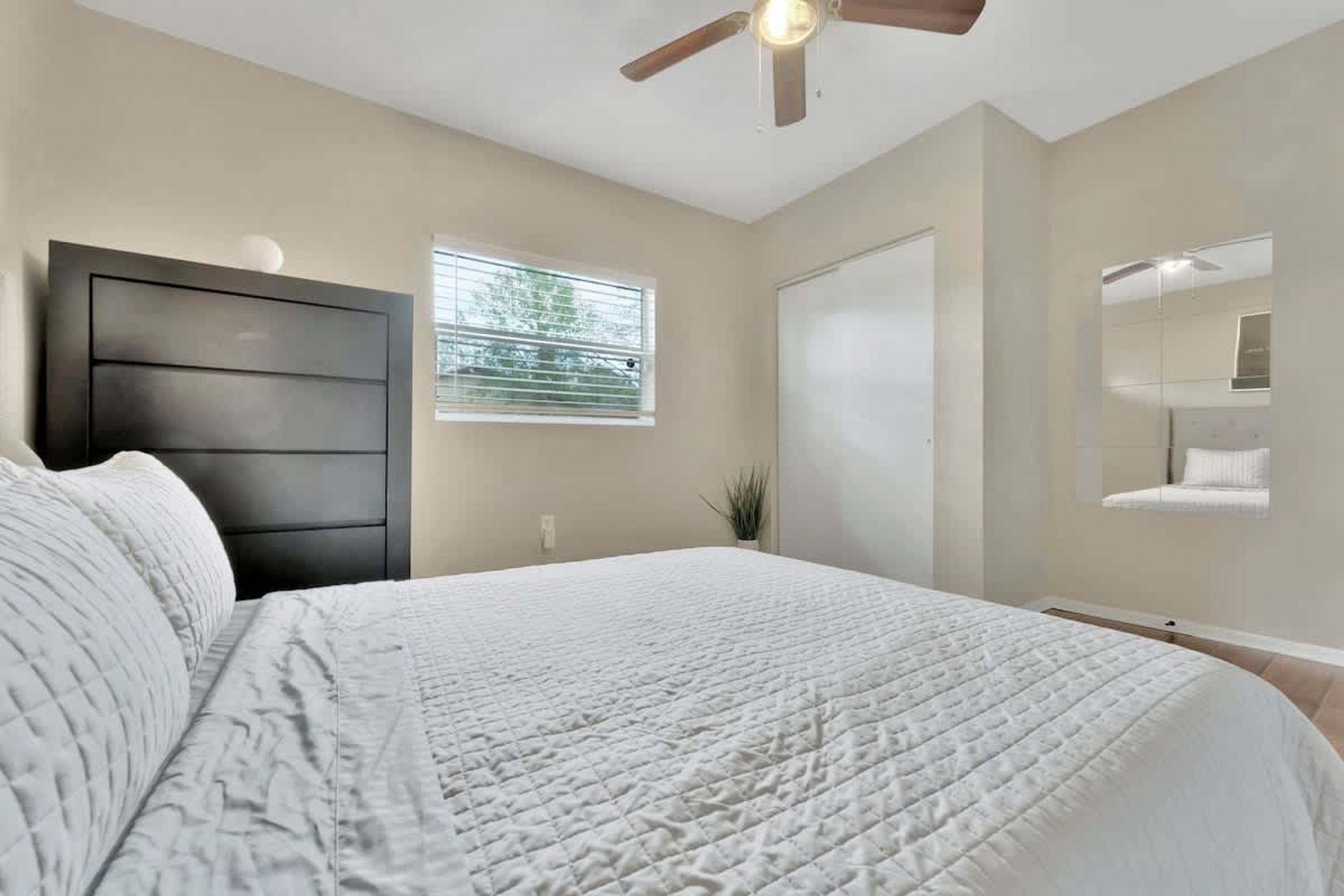 A bedroom with a bed, a ceiling fan, a window, and a mirror.
