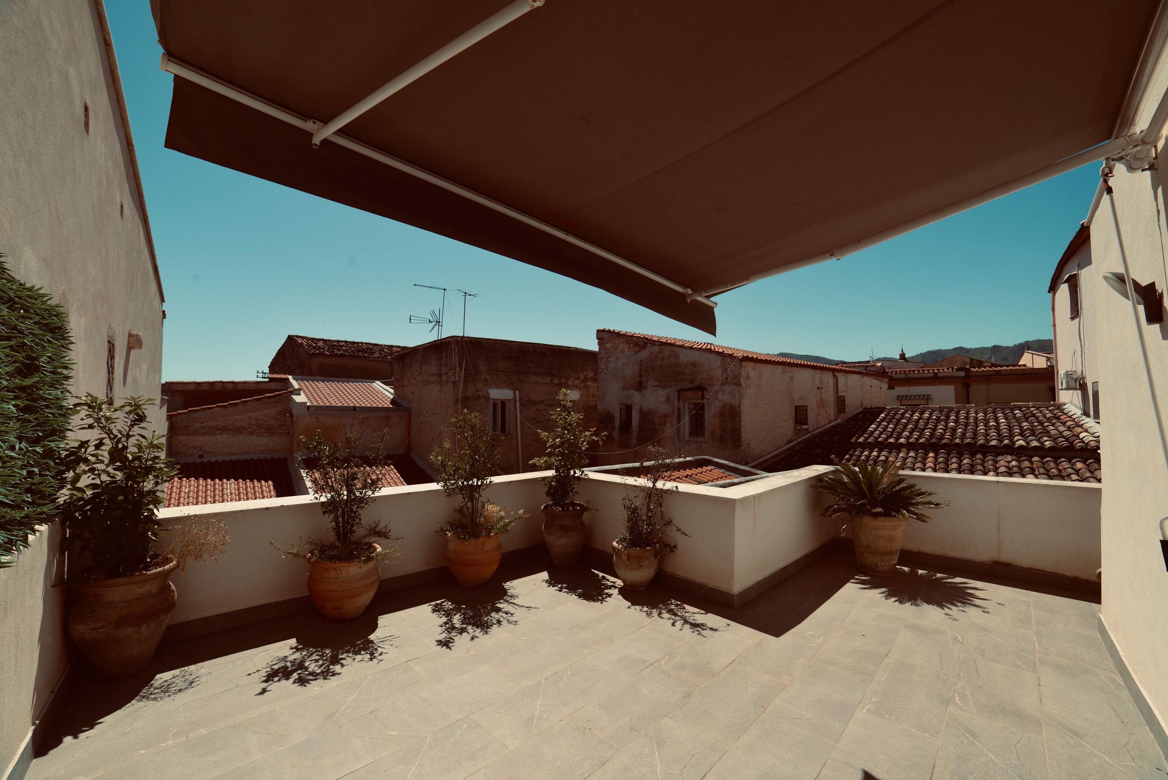 A rooftop terrace with potted plants, a tiled floor, and a clear blue sky.