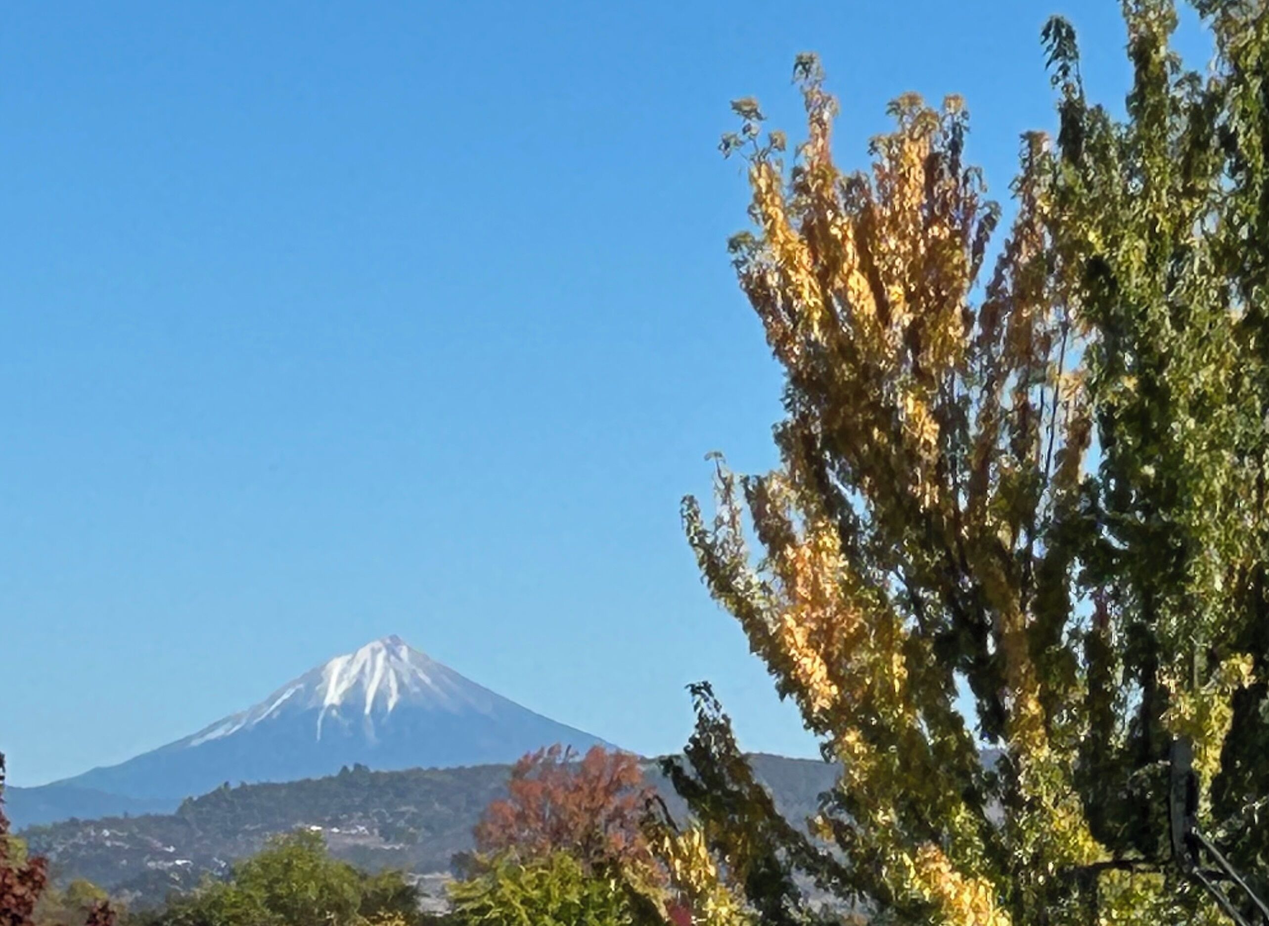 Una muntanya amb un cim cobert de neu, envoltada d'arbres amb fullatge d'octubre.