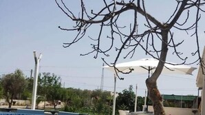 Une piscine avec un tuyau d’arrosage, un arbre et du mobilier d’extérieur.