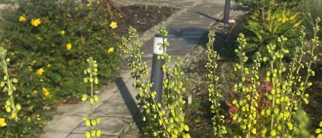 DĂ©tail de lâextĂ©rieur