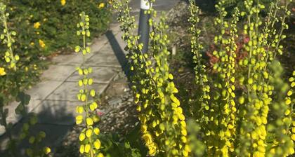 2-bedroom lodge, Sleeps 4, 30mins to DUBLIN AIRPORT/CITY, Shuttle & Tour Guide