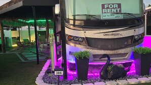 Um ônibus com uma placa de 'Para Aluguel' estacionado em área ajardinada, com uma escultura de cisne e plantas em vasos.