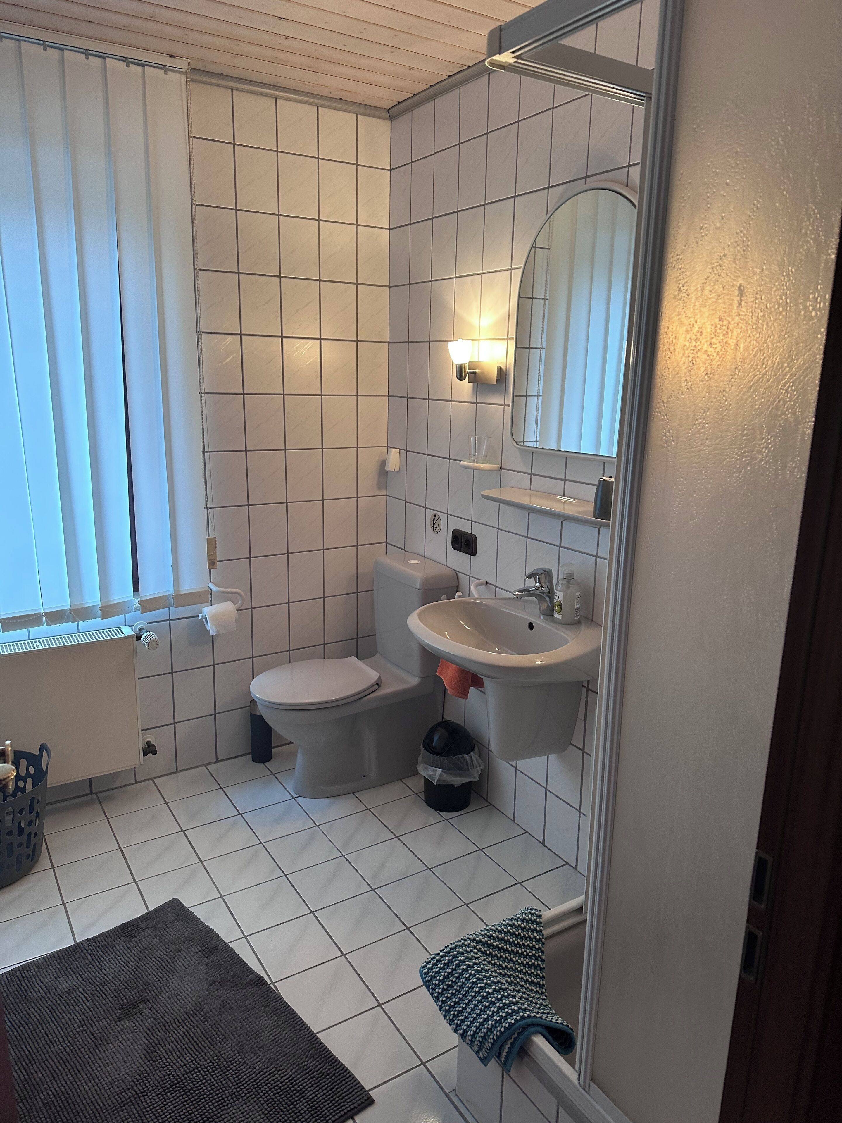 Hair dryer, towels, soap, toilet paper