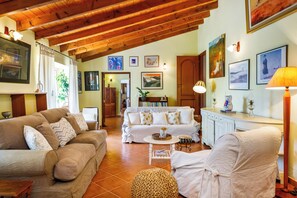 TV, fireplace, books