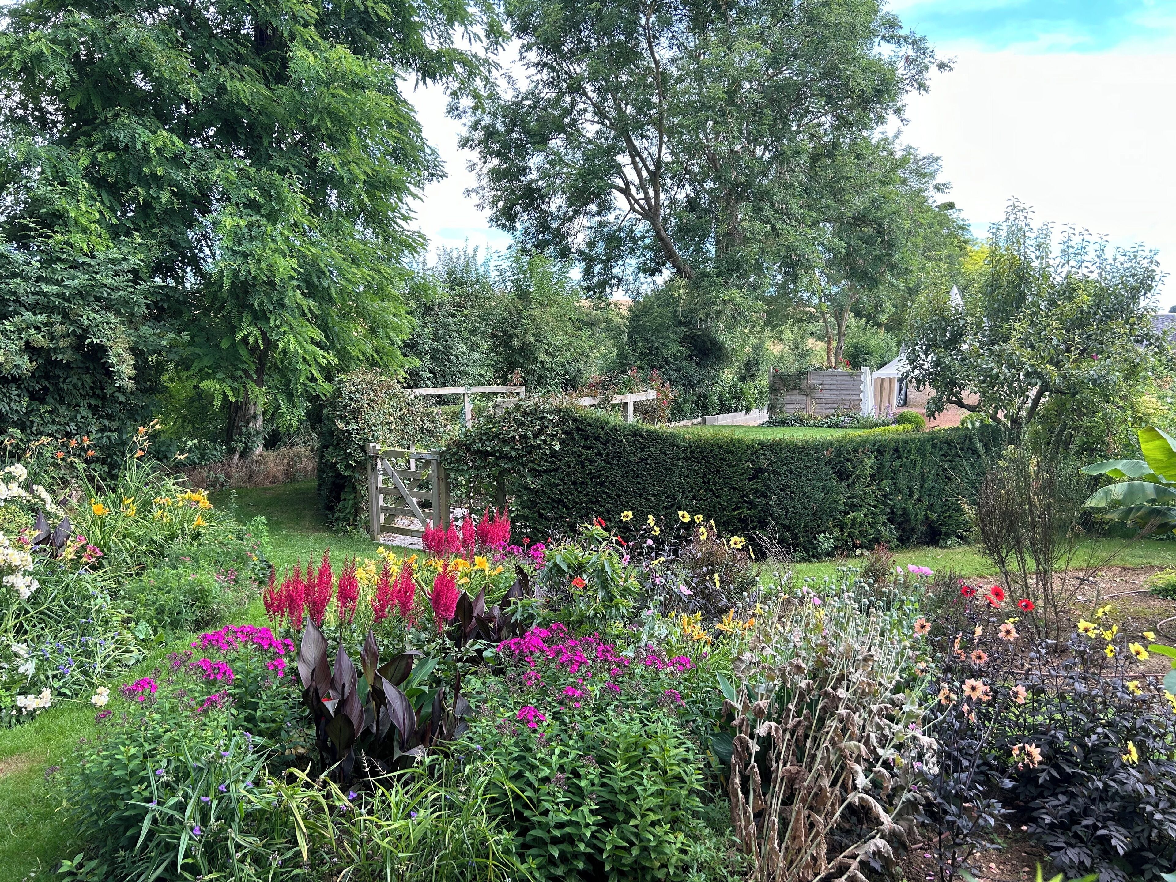 A garden with a variety of plants and flowers, a wooden gate, and a hedge.