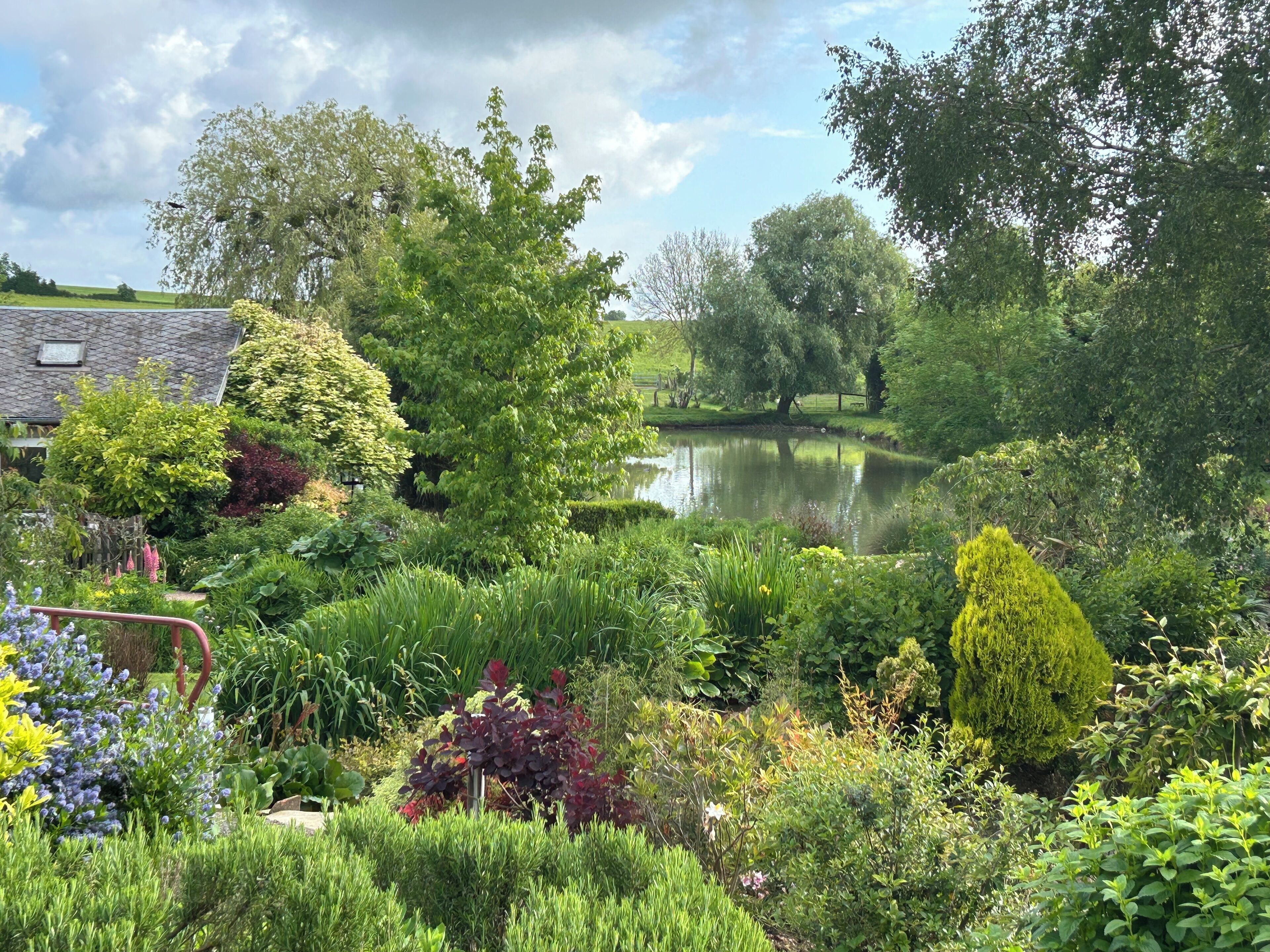 Jardines del alojamiento