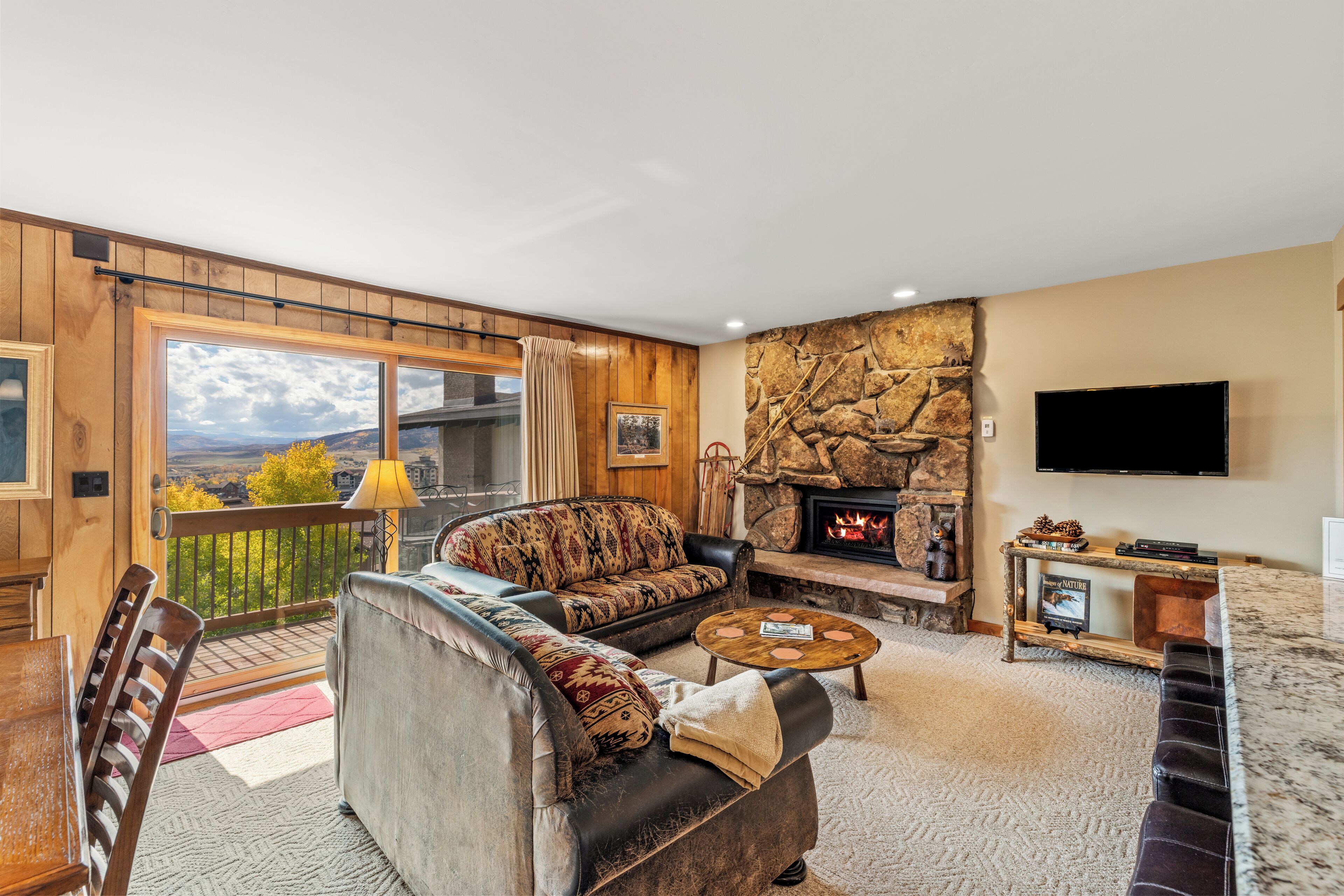 TV, fireplace