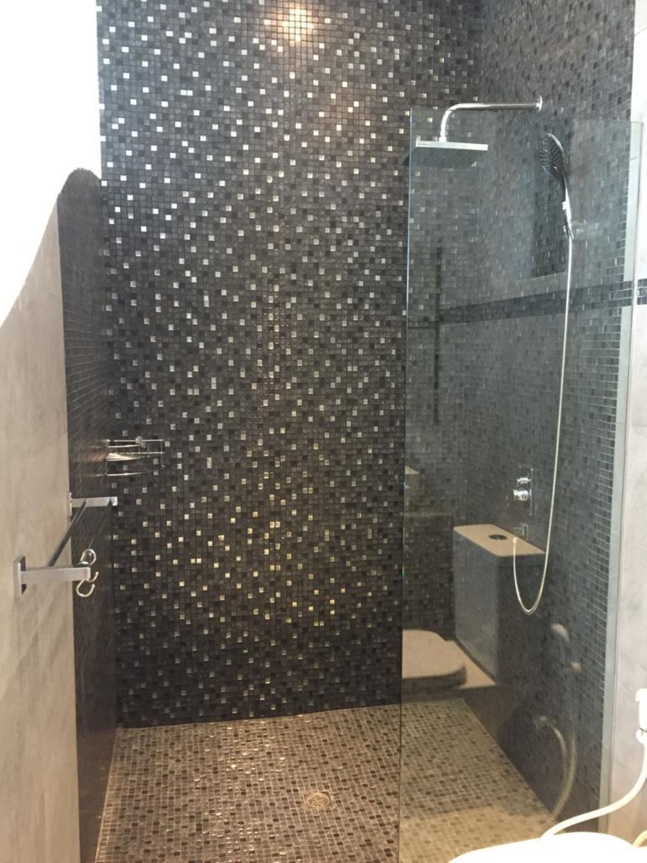 A glass-enclosed shower area with a tiled wall and a visible toilet.