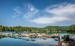 Marina - Cozy Mountain Getaway in Big Canoe (Big Canoe)