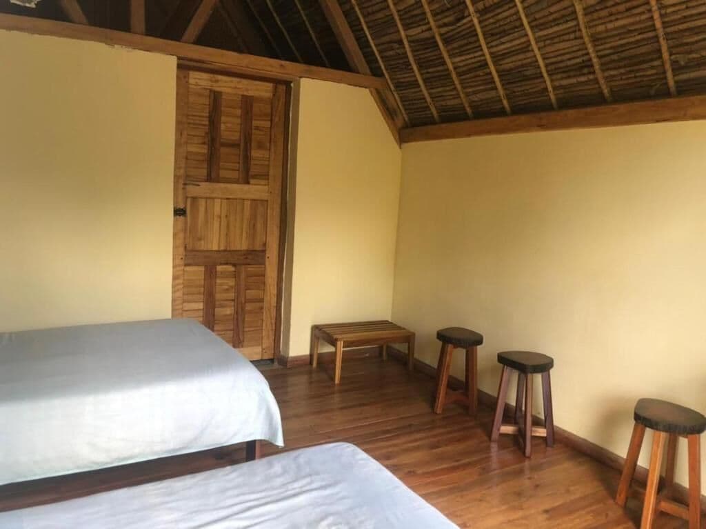 Standard Twin Room, Park View