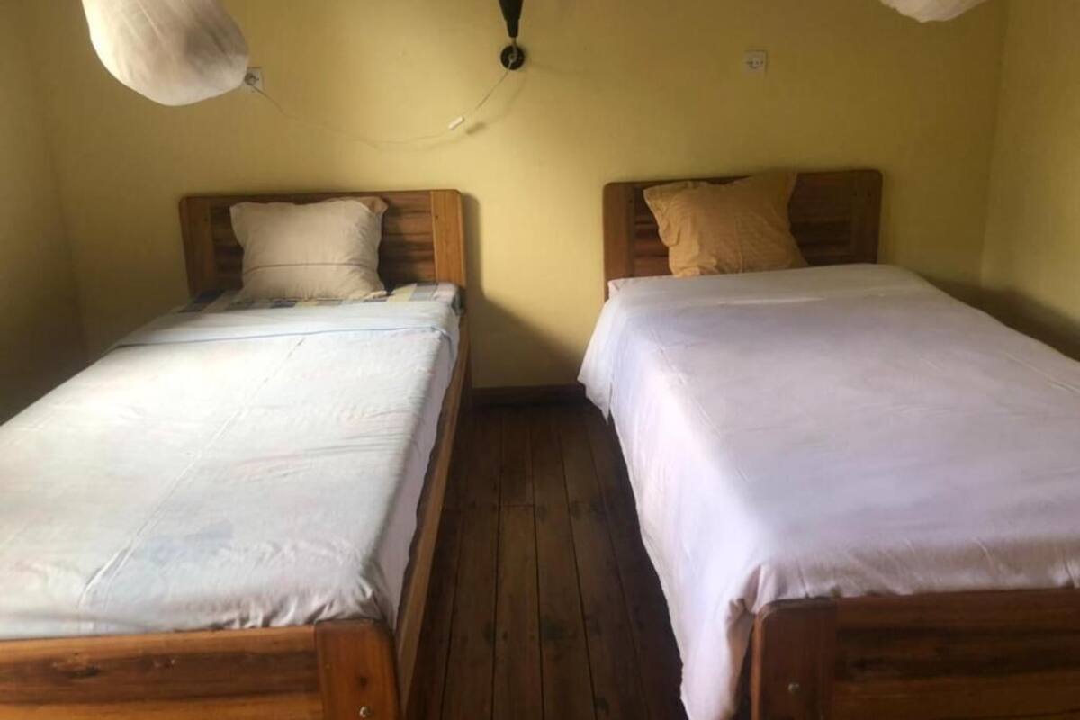 Standard Twin Room, Park View