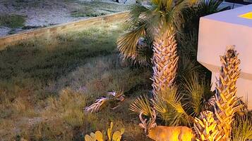 Área da propriedade