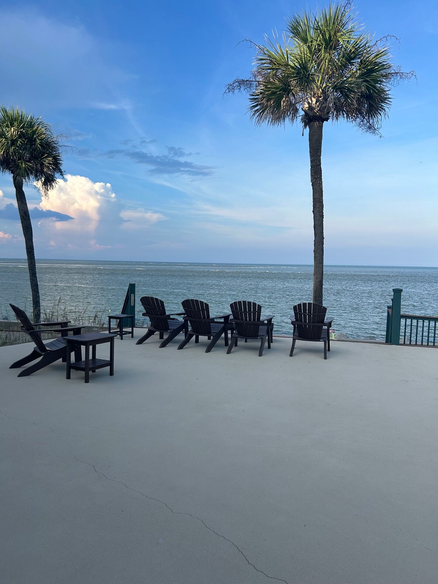 A seaside patio with chairs and tables, palm trees, and a view of the ocean.