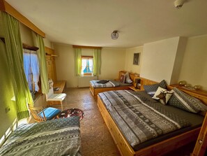 Basic Quadruple Room, Mountain View | Free WiFi - Veitenhof im Kaisertal (Ebbs)