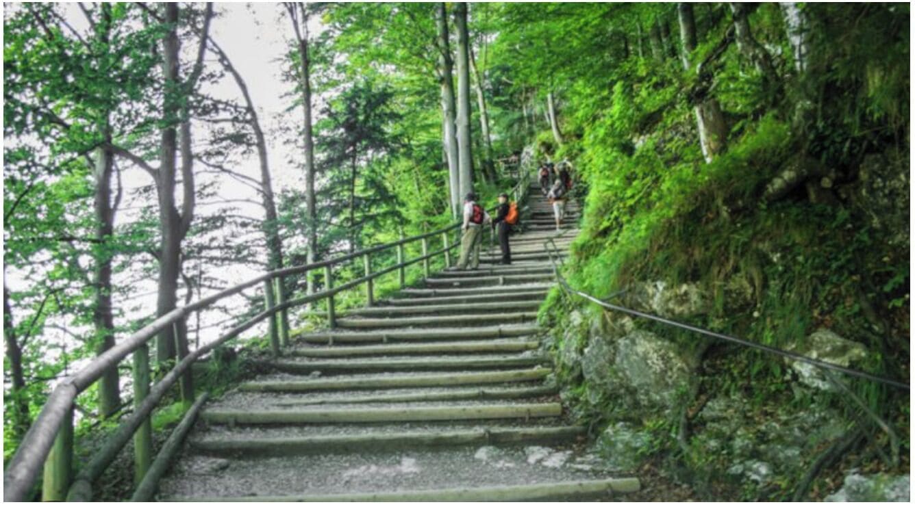 A set of wooden stairs in a forested area with railings on both sides.