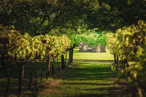 Khuôn viên nơi lưu trú