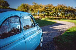 Khuôn viên nơi lưu trú