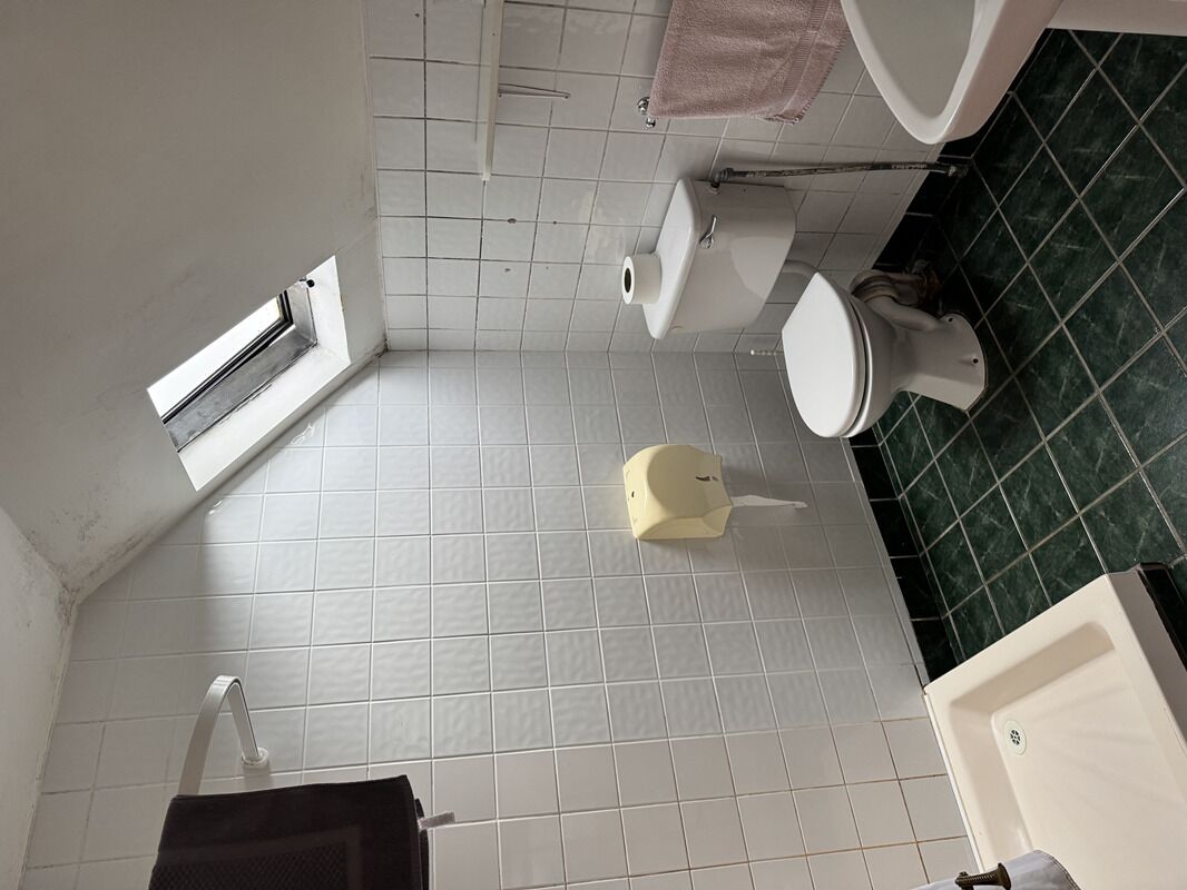 Un baño con inodoro, lavabo y ducha.