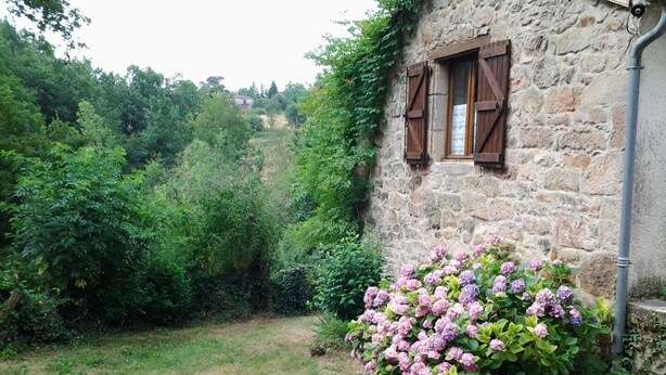 A stone building with a small window and a garden with hydrangea bushes. - Aymes - VAOUR - Gîte (VAOUR)