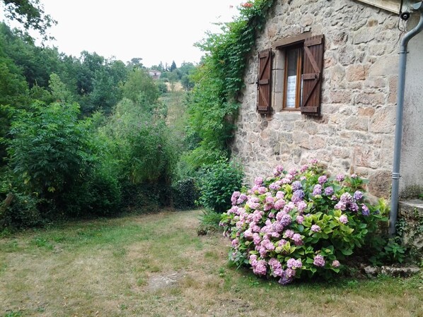 Áreas de la propiedad