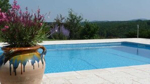 Una piscina con vistas despejadas del paisaje circundante, un jarrón decorativo con flores y una terraza de baldosas.