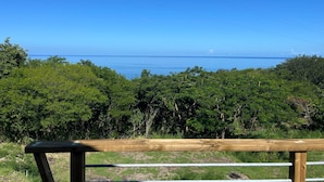 Un banco de madera con vistas a un paisaje verde exuberante y una vista despejada del océano.