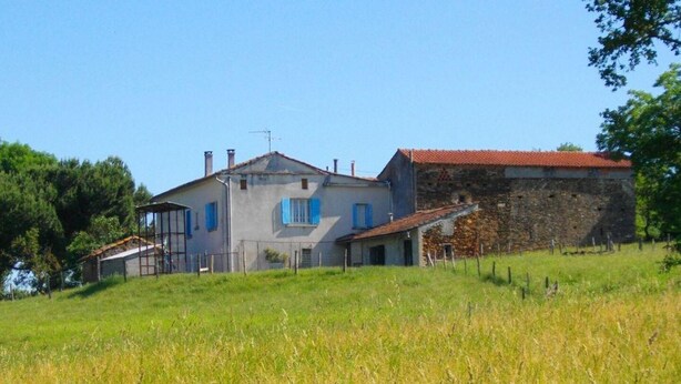 A rural house with a stone wall and a metal roof, surrounded by a grassy field.