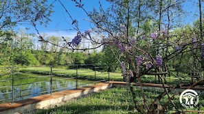 Property grounds - Bonnefon - CESTAYROLS (CESTAYROLS)
