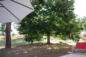 Property grounds - Lesses - PUYLAURENS - Gîte (PUYLAURENS)