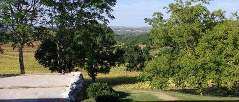 Overnattingsstedets uteområder