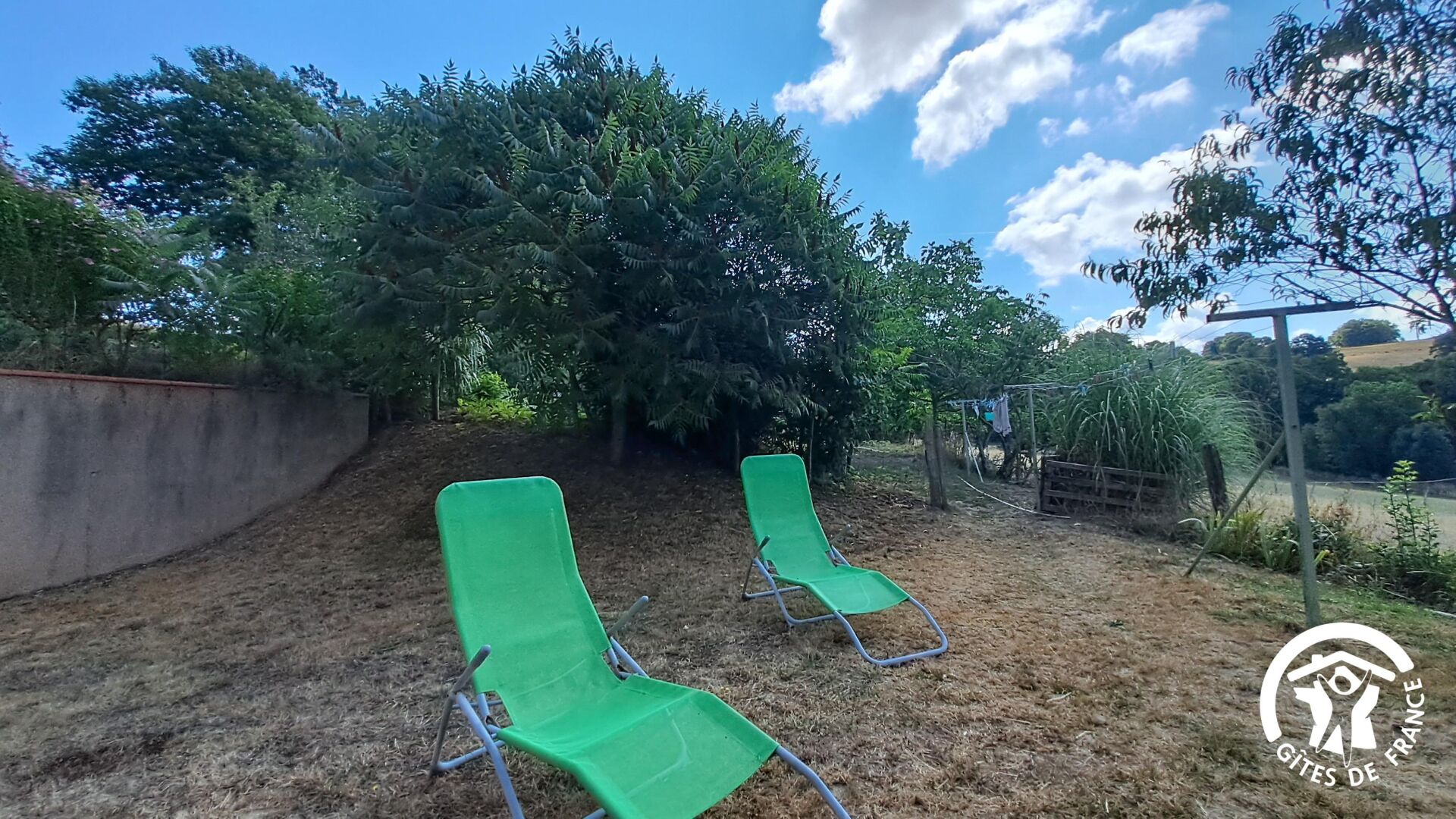 Two green lawn chairs in a grassy area with trees and a fence.