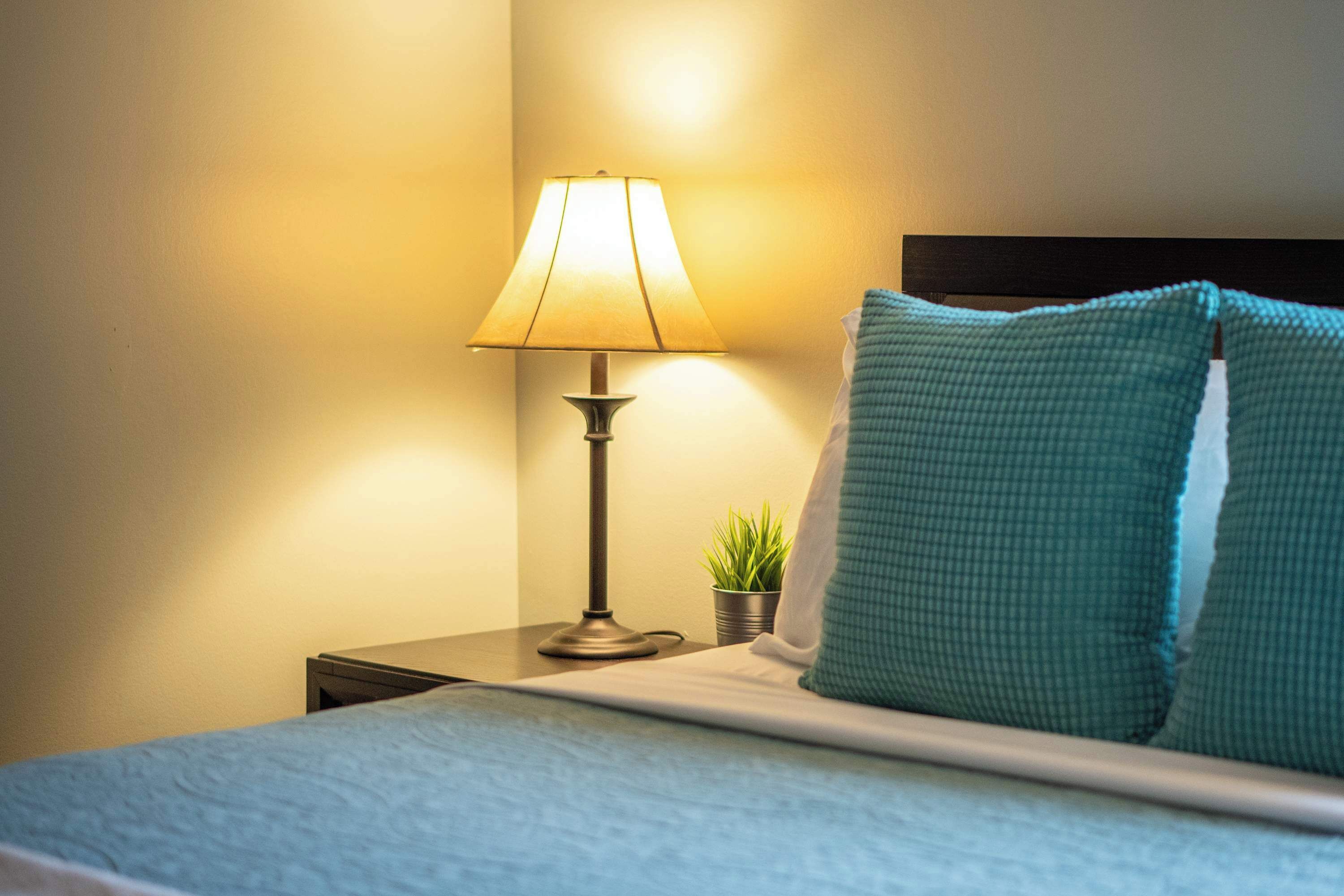 A neatly made bed with a blue bedspread and two teal pillows, a bedside lamp, and a small potted plant on a wooden nightstand.