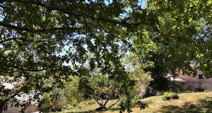 Le Barthas - MONTREDON-LABESSONNIE