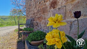 A rustic stone wall with a bench and potted plants. - Le Petit Serène - VAOUR (VAOUR)