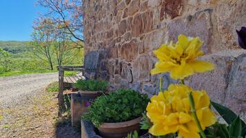 A rustic stone wall with a bench and potted plants.