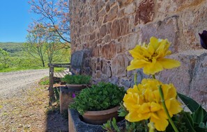 A rustic stone wall with a bench and potted plants. - Le Petit Serène - VAOUR (VAOUR)